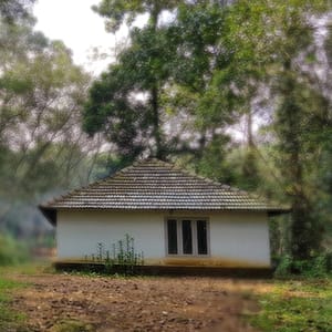 Lakshmi-farmstead-kerala-farm-stay-homestay-workfromhome-image_thumbnail